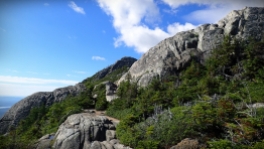 the trail on Mount Chocorua
